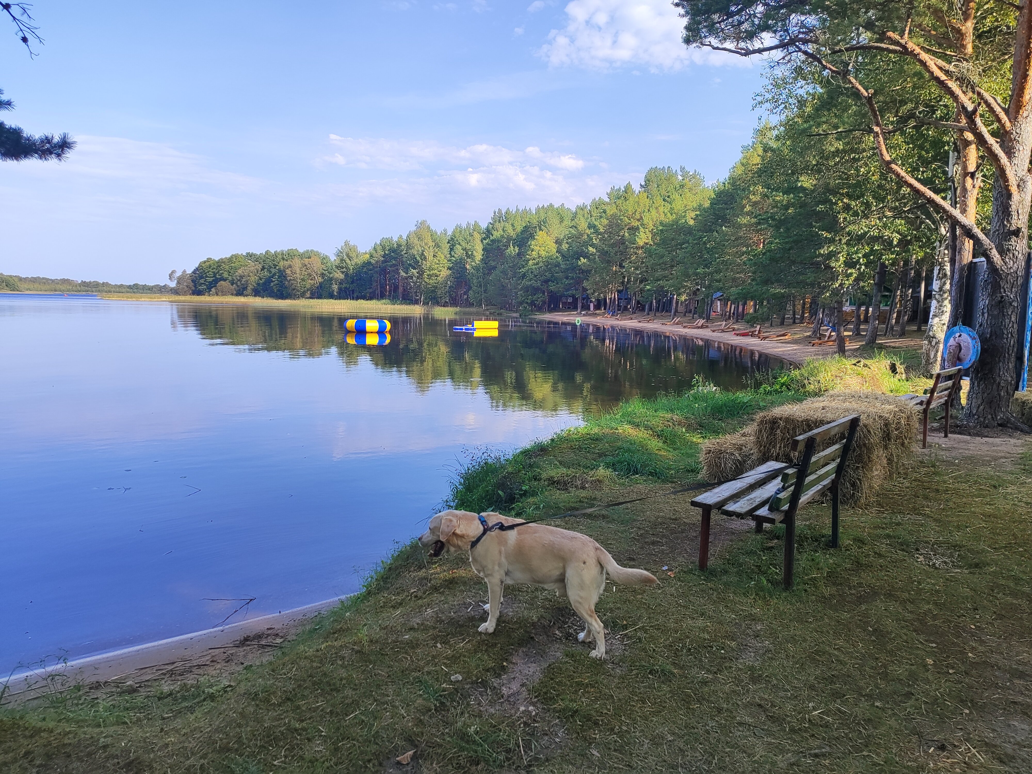 Фото Нептун