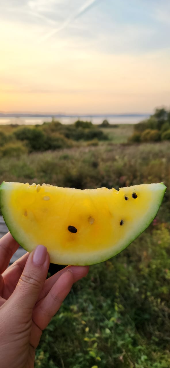 Фото Дом у озера Хюмпелянъярви