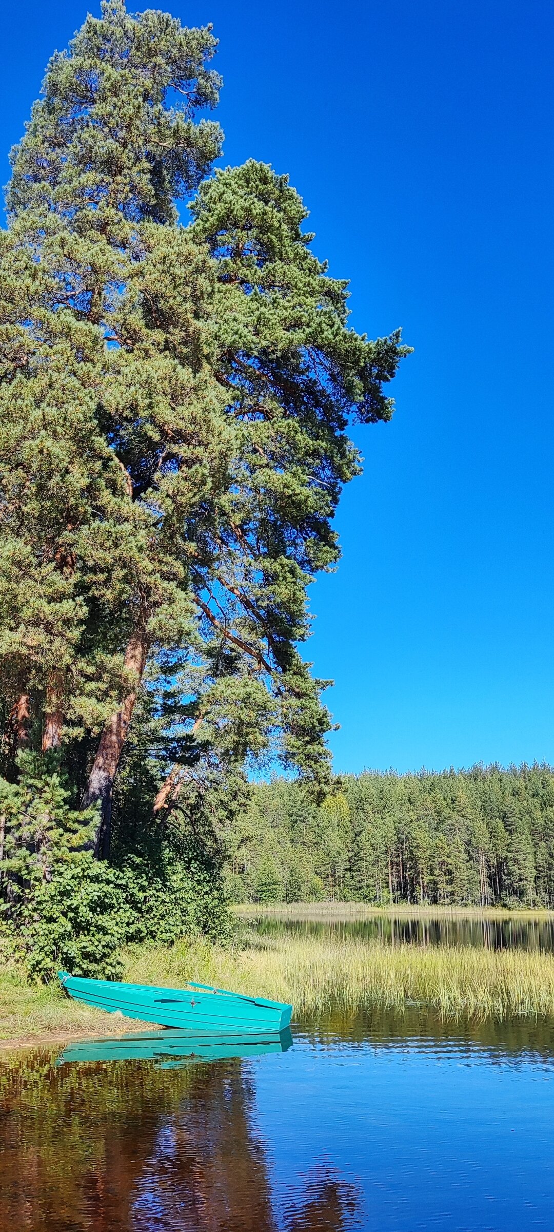 Фото Семиозерие