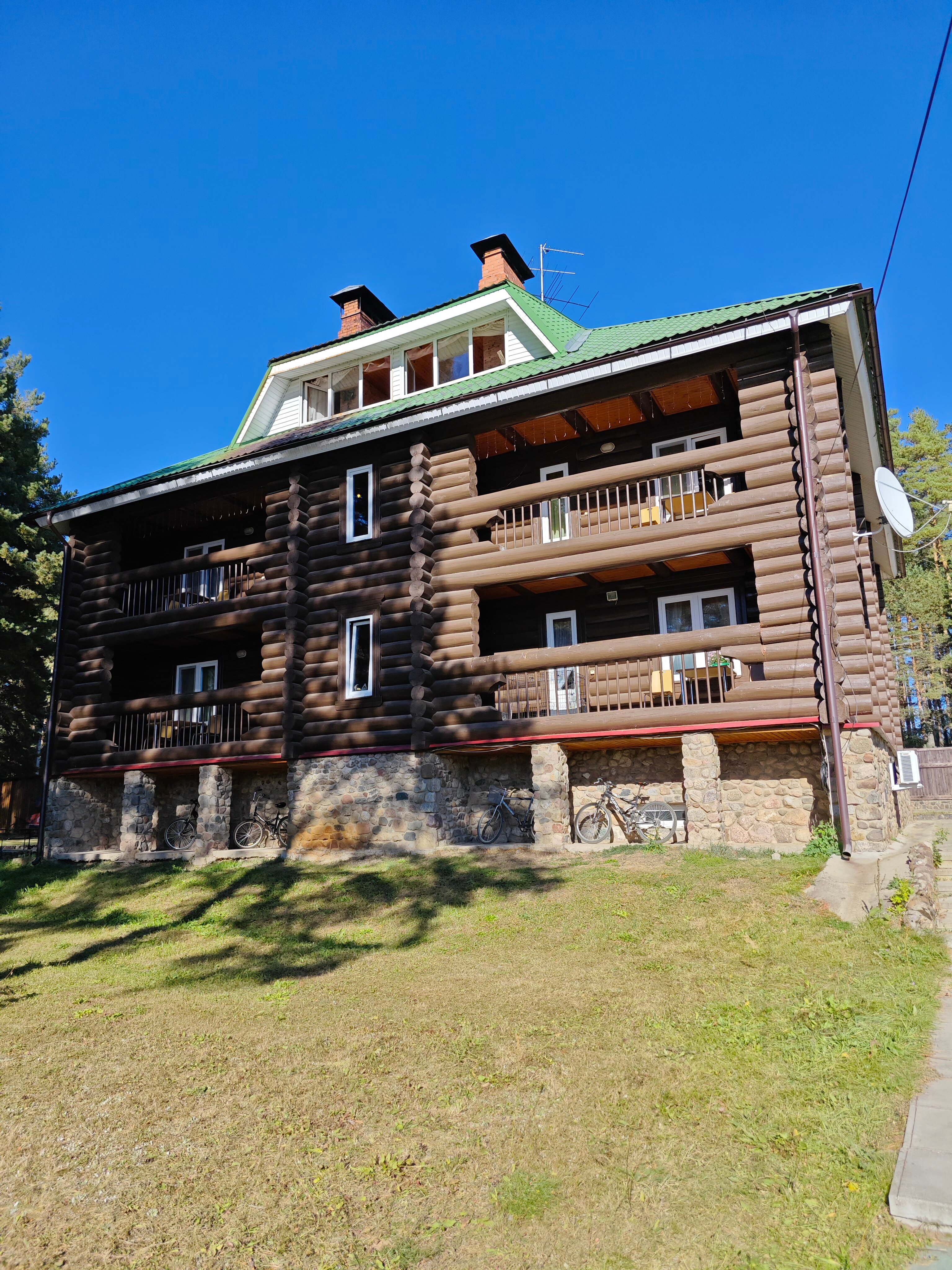 Фото Можжевеловый бор