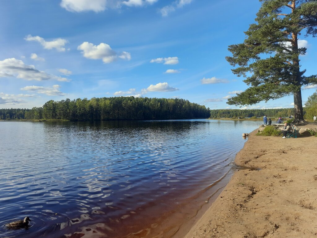 Пляж Пляж, Санкт‑Петербург и Ленинградская область, фото