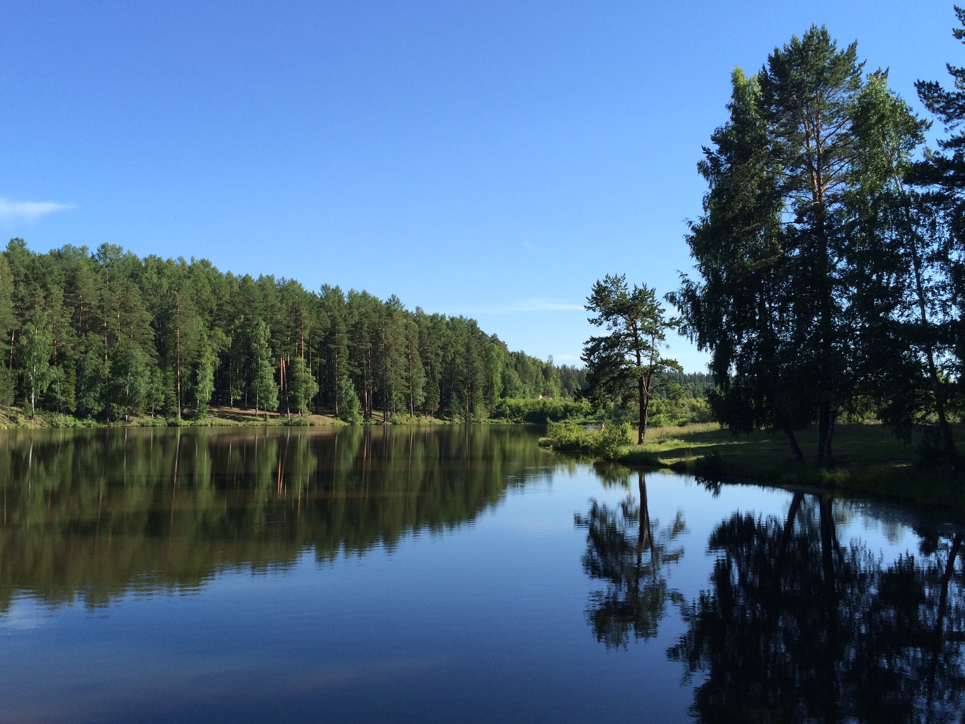Фото Лесная сказка