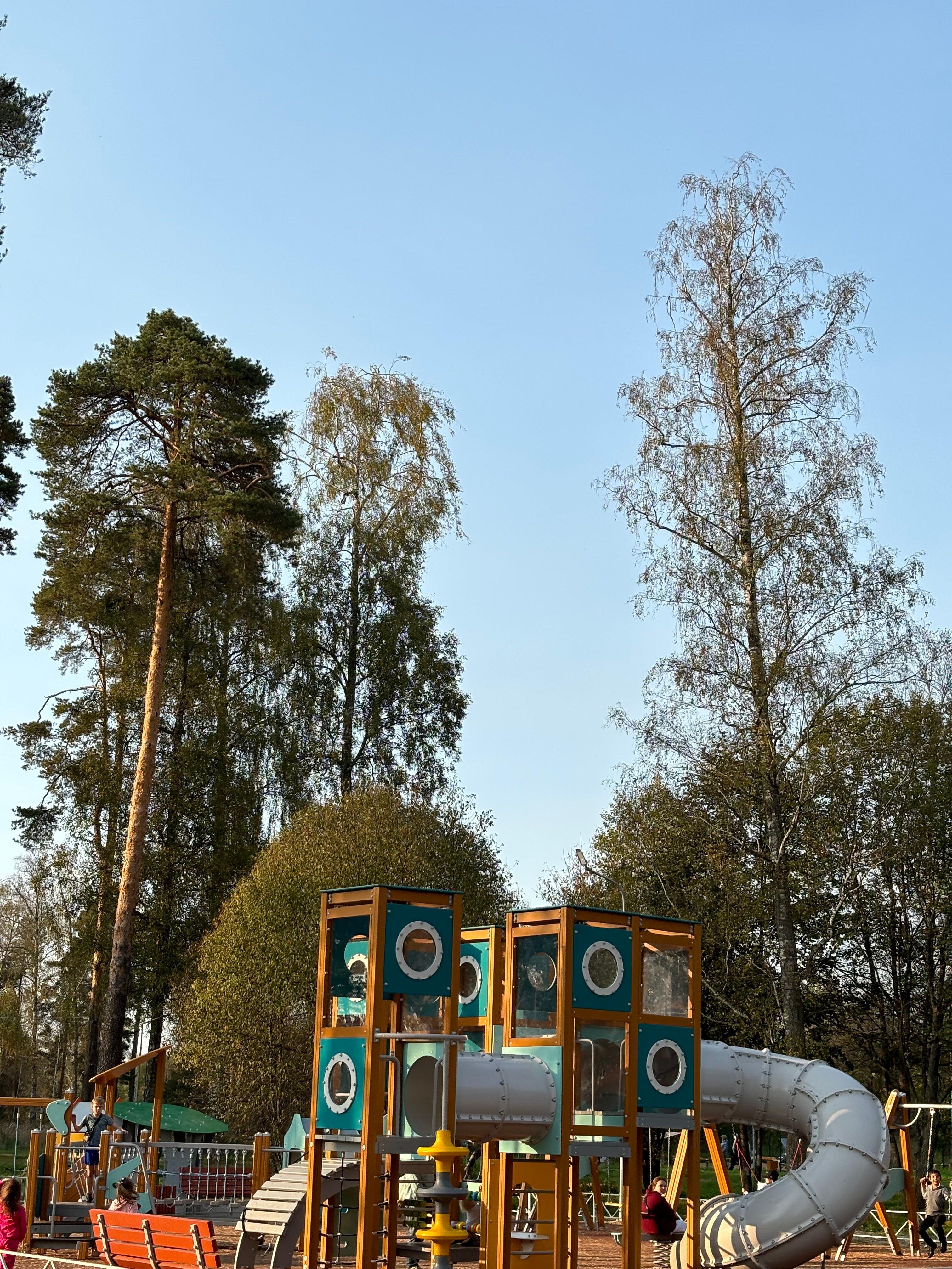 Фото Клевер