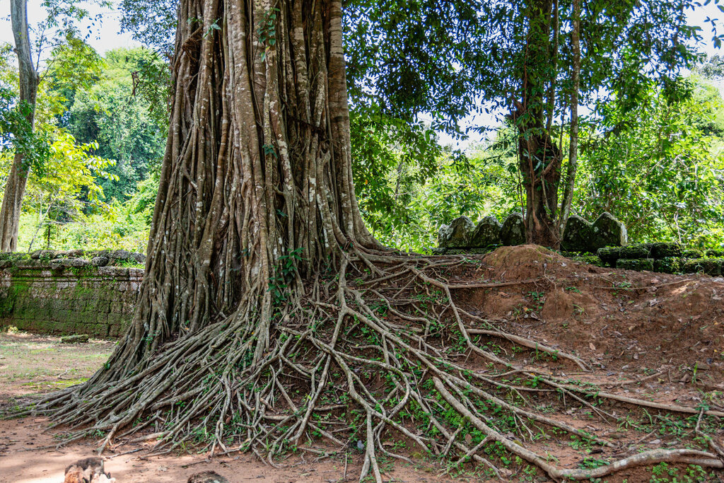 Pagoda Та Сом, Earth, photo