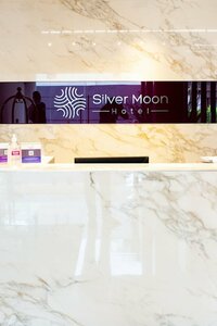 Гостиница Silver Moon Hôtel