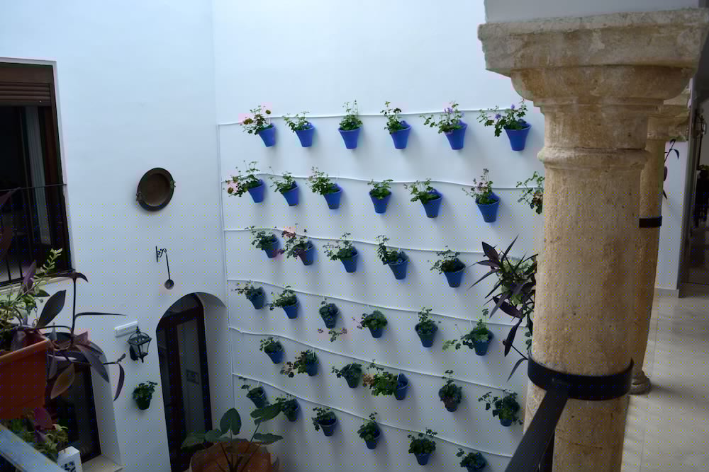 Фото Hotel Marisa