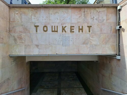 Katta kokrakli onanizmni onlayn tomosha qiling