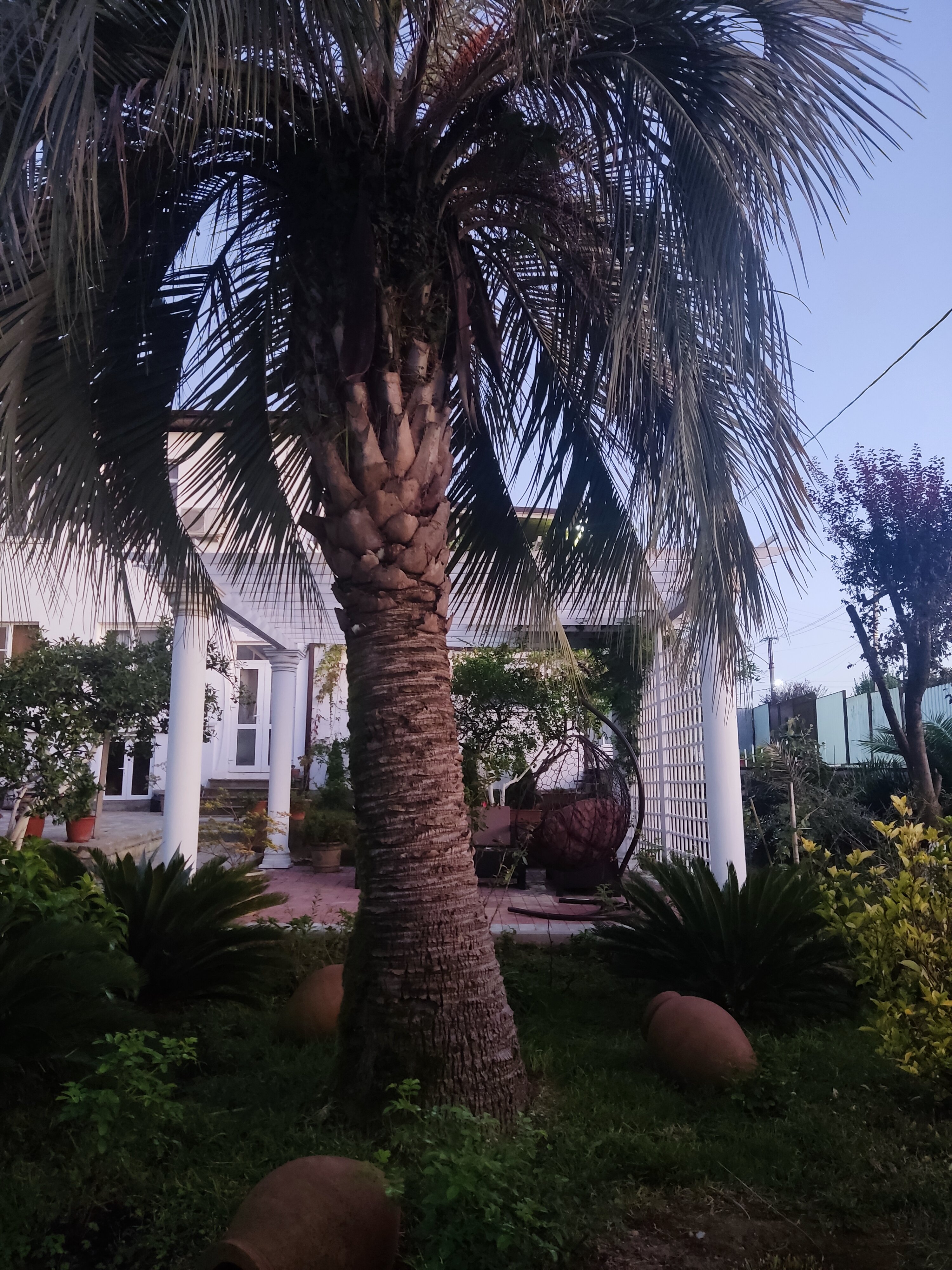 Фото Лермонтов