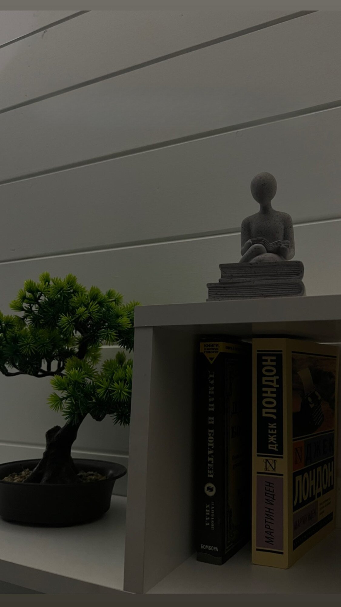 Фото Sun_life 05