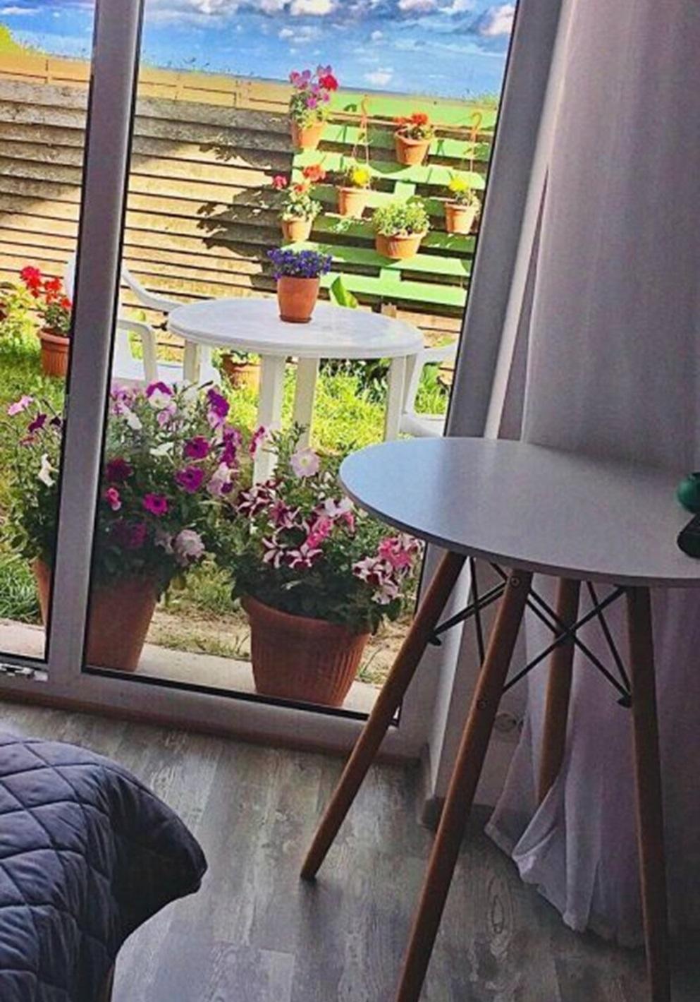 Фото Отдых на Куршской косе