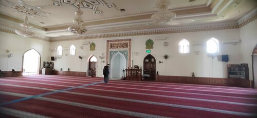 Mushukni silagan kimga kerak?