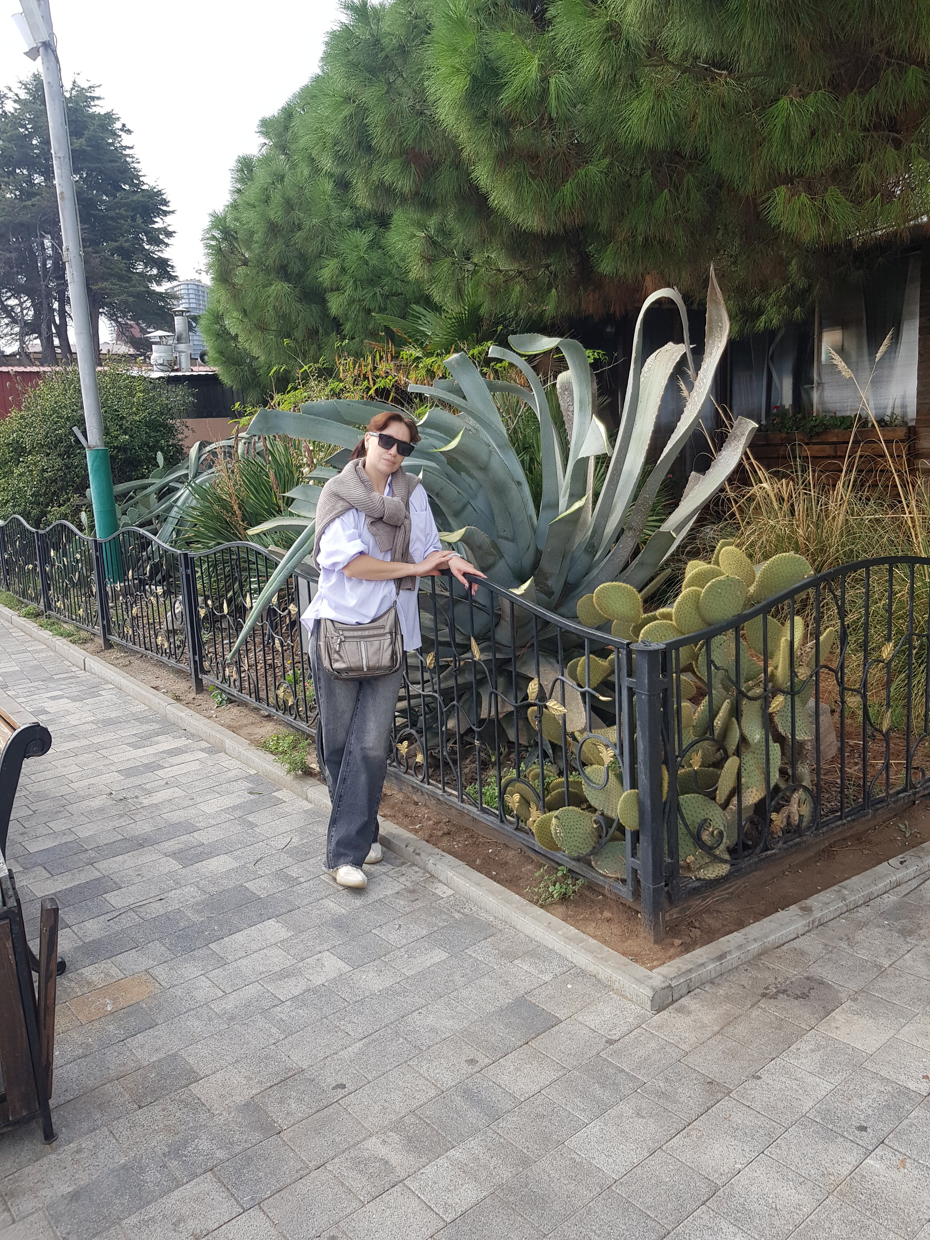 Фото Белая магнолия