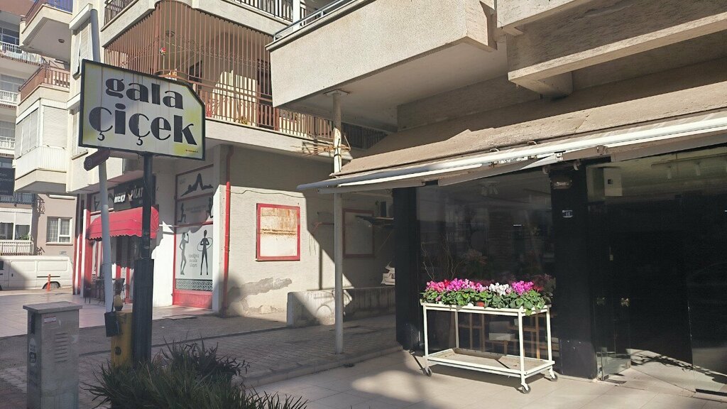 Flower shop Gala Cicek, Antalya, photo