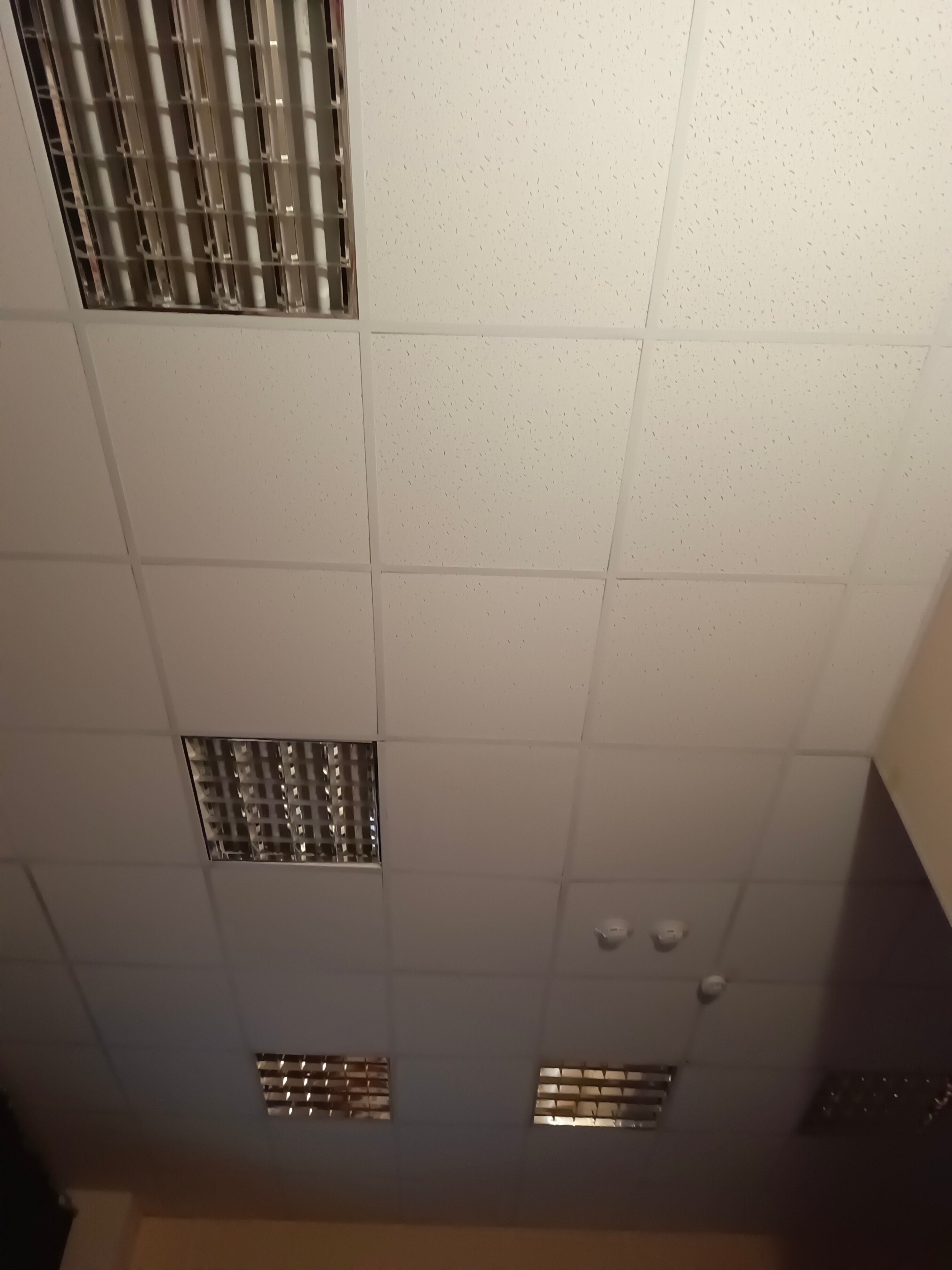 Фото Цезарь