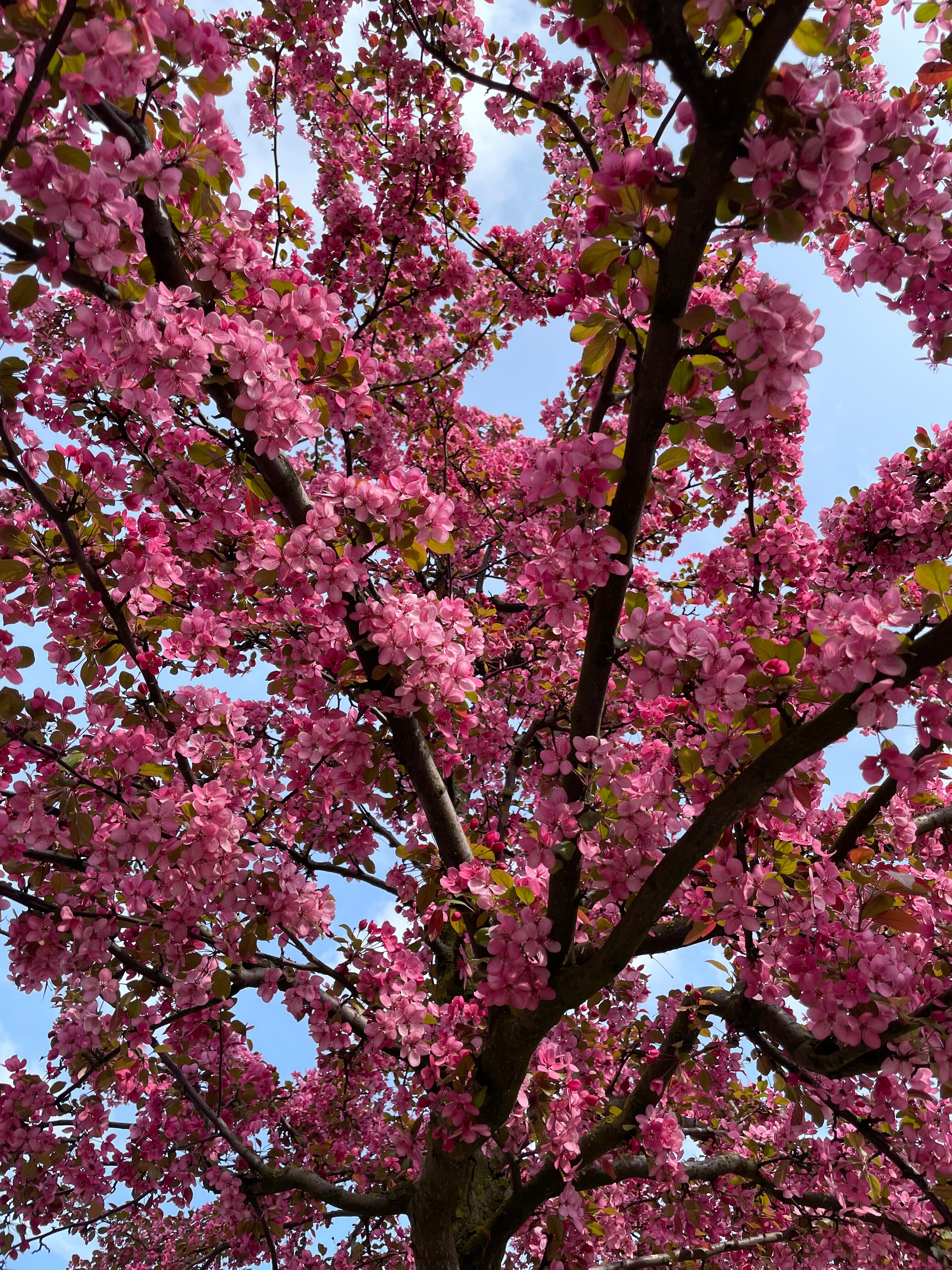 Фото Памир, Тянь-Шань
