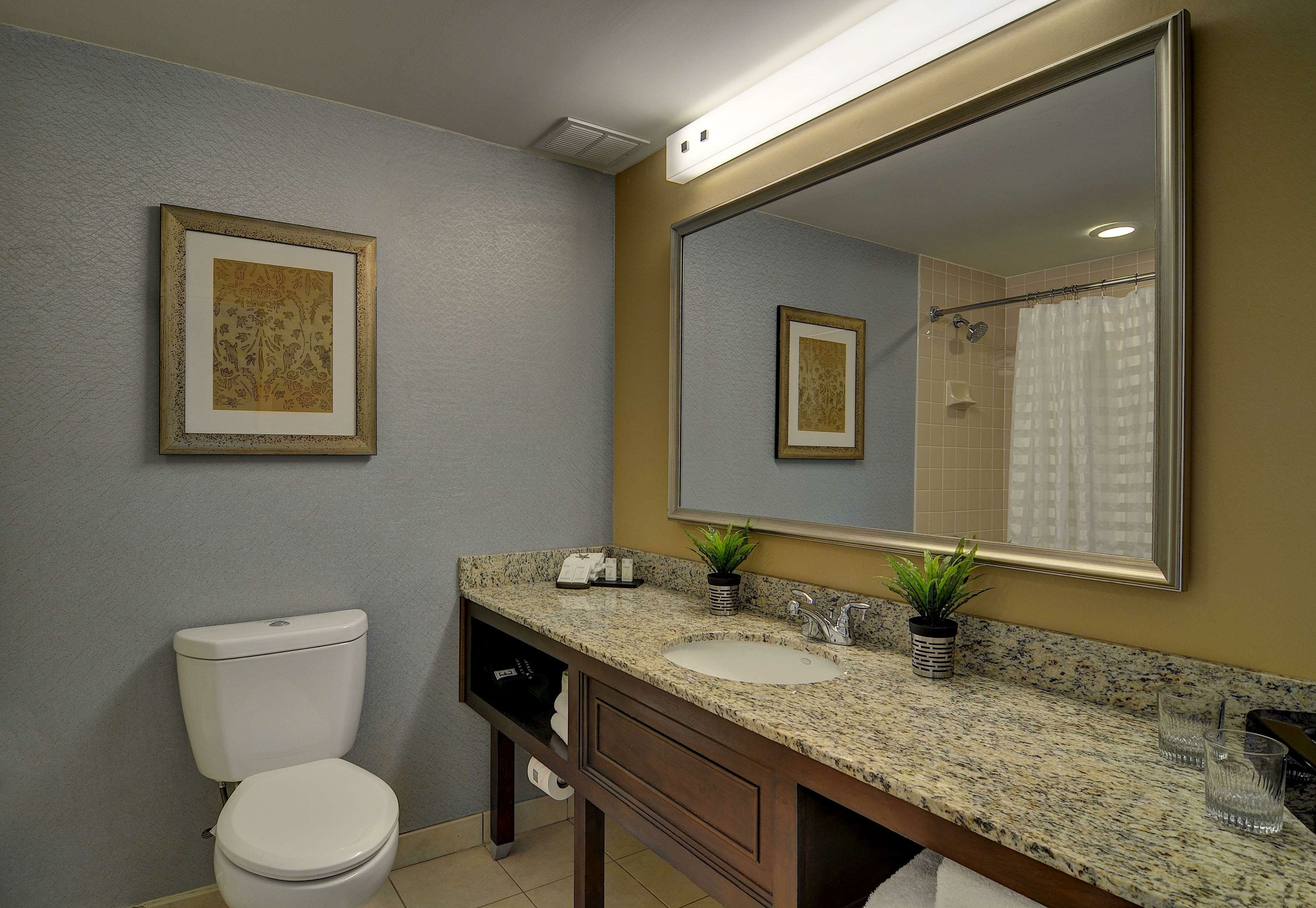 Фото Embassy Suites by Hilton Atlanta Buckhead