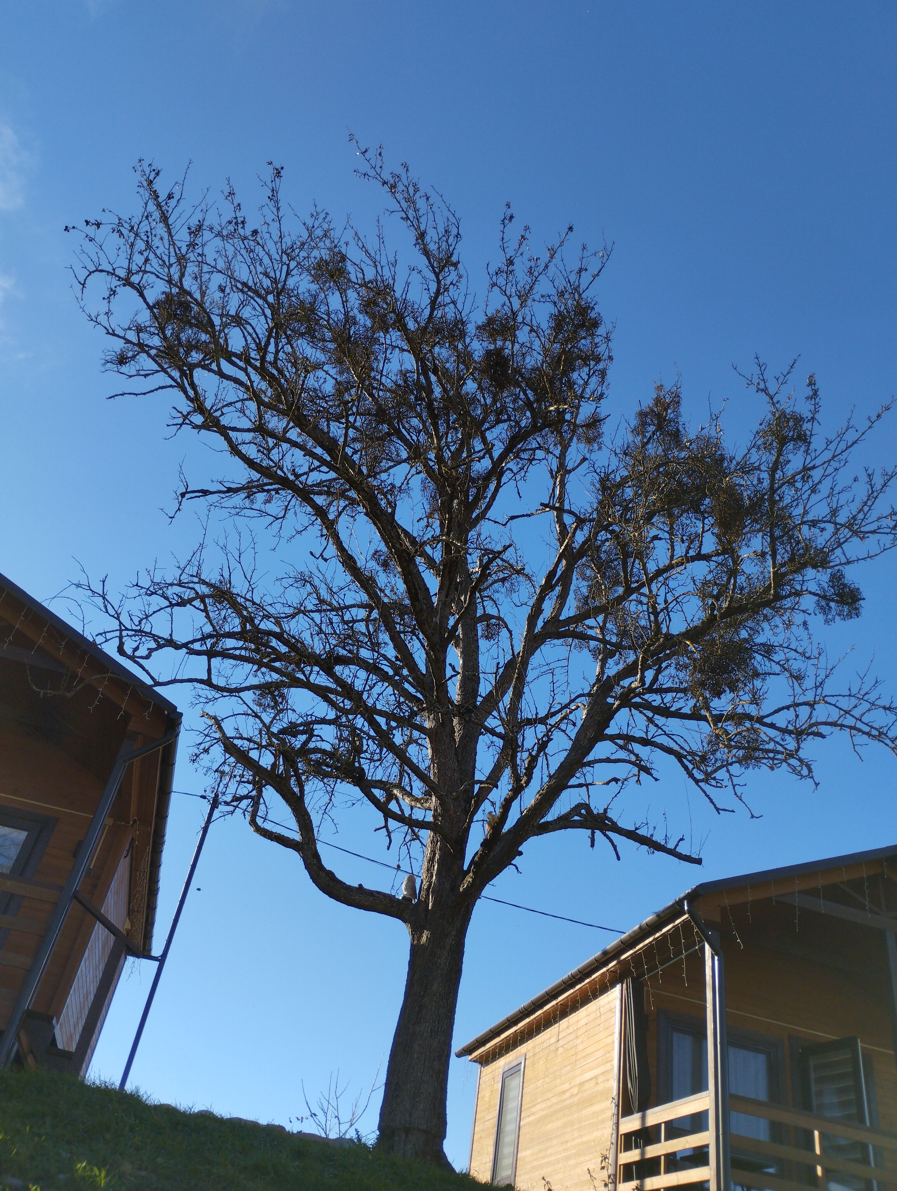 Фото Горы зовут