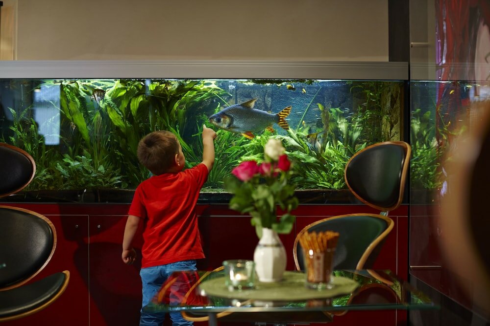 Фото Hotel Concorde München