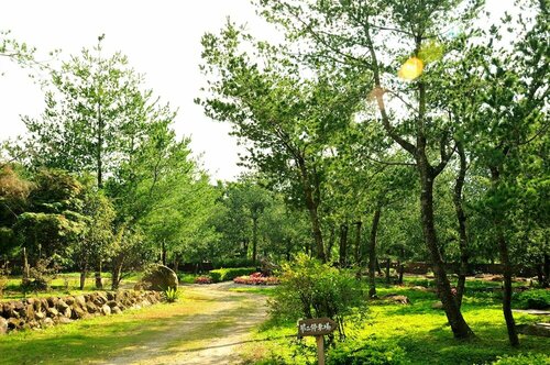 Гостиница Zen and Pine Resort