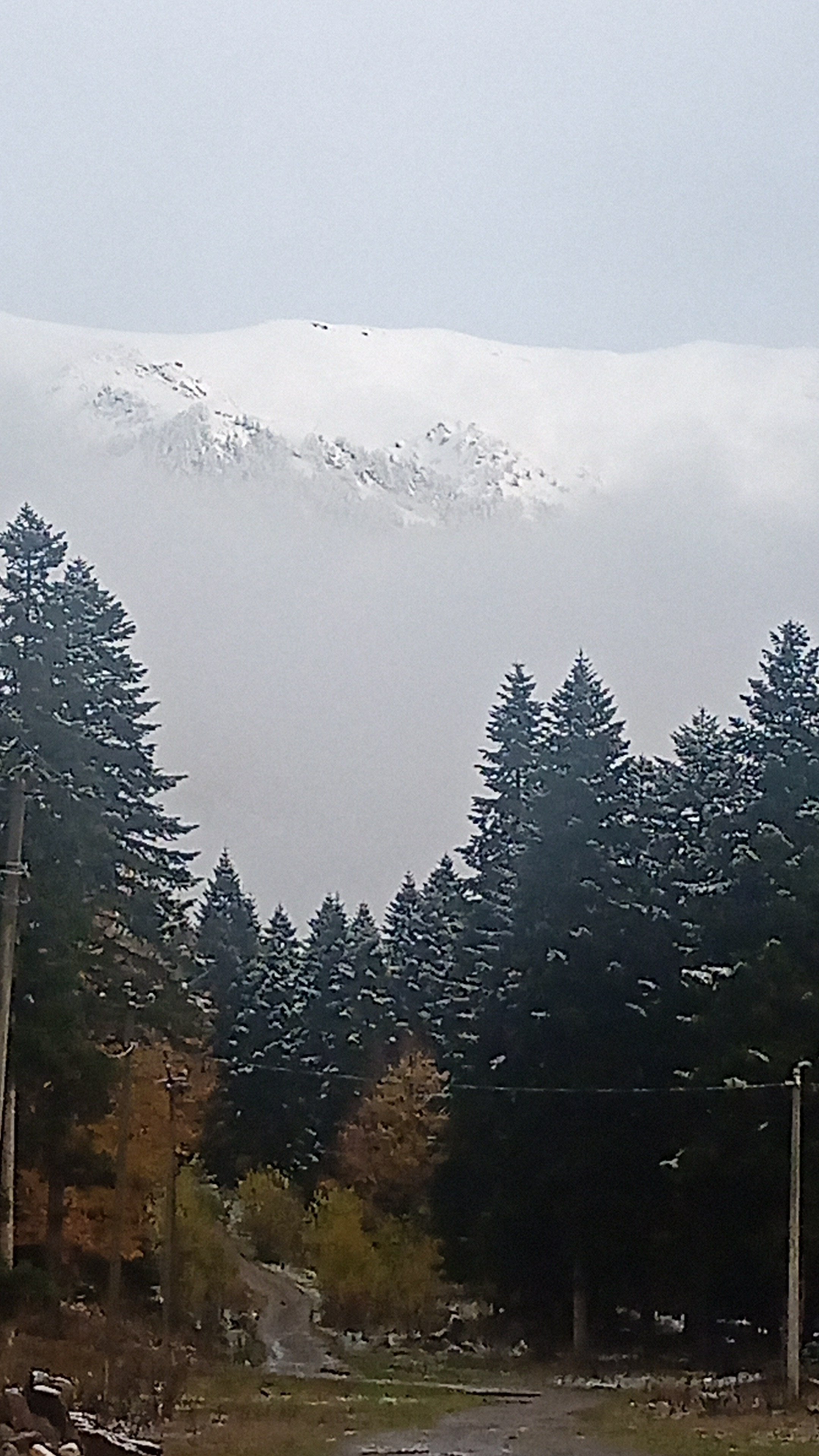 Фото Villa_Armat