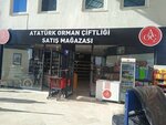 Ataturk Forest Farm Sales Store (Ankara Province, Ayaş Ankara Yolu Bul., 158A), elaboración de productos de alimentación