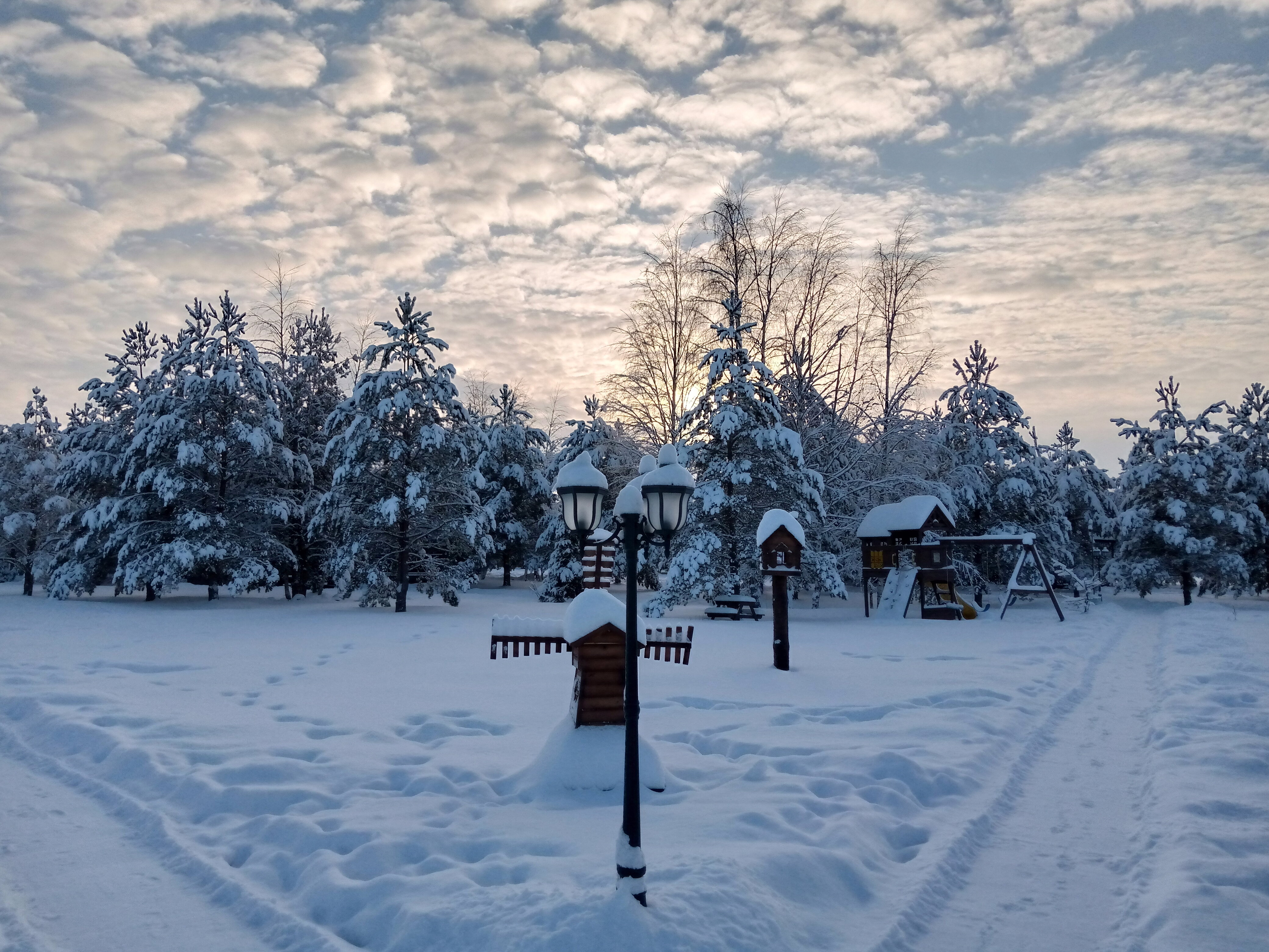 Фото На Чеснаве