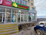 Lemon Market (Nurǵısa Tіlendıev dańǵyly, 40), grocery