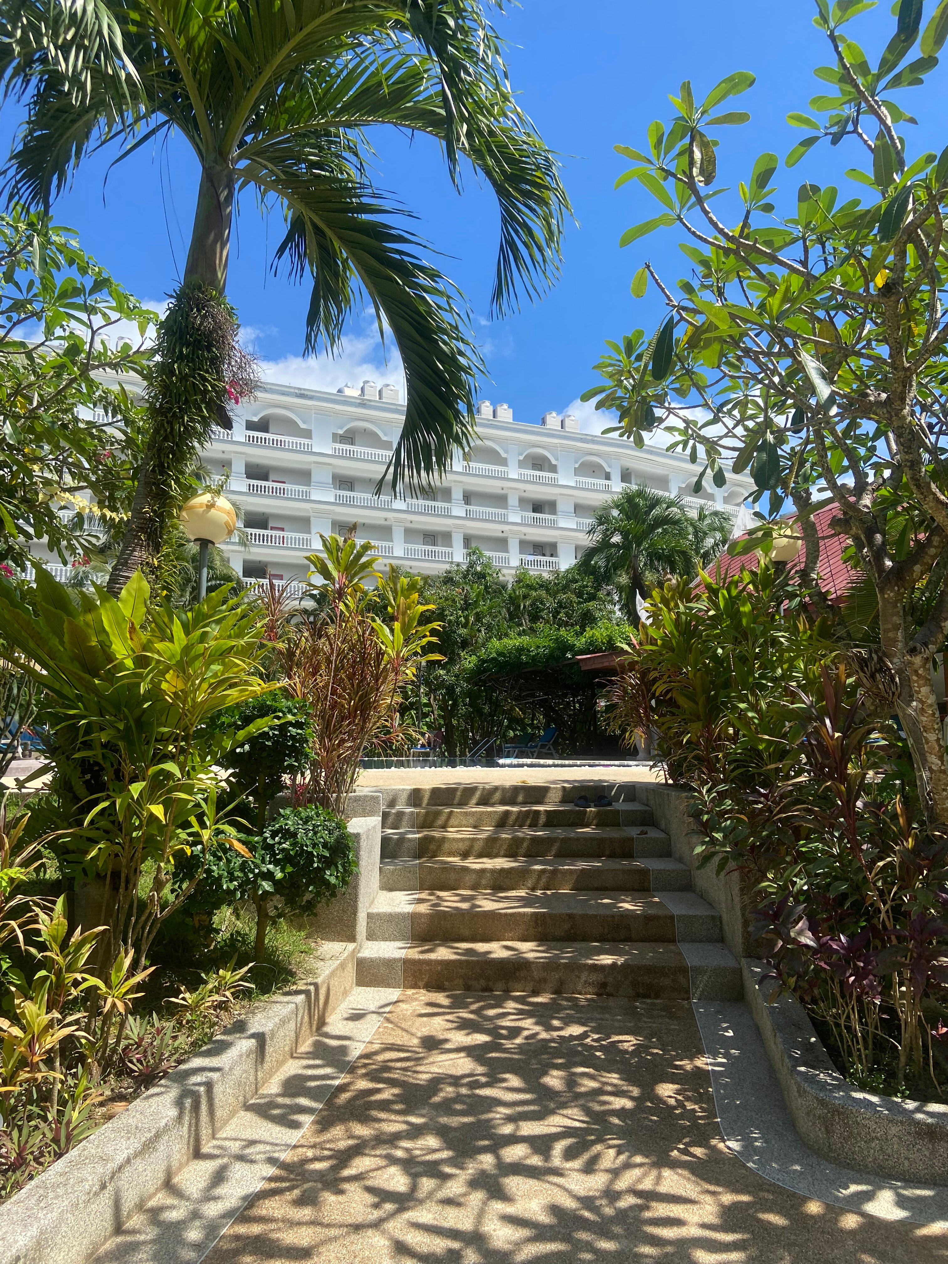 Фото Patong Palace Hotel