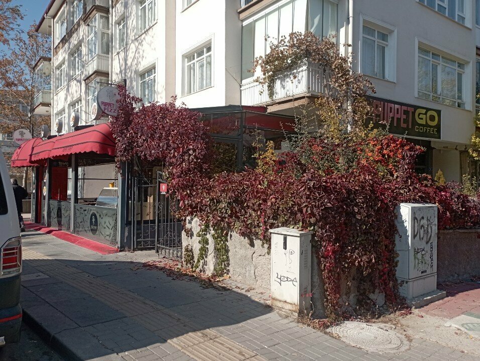 Cafe PuppetGo Coffee, Ankara, photo