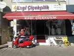 Ezgi Uluslararasi Cicekcilik (İzmir, Gaziemir, Önder Cad., 97/1C), flower shop