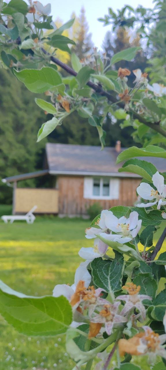 Фото Хутор Малиновка