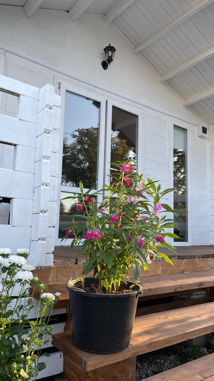 Фото Чапагуа