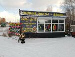 Живые цветы (Tyumen, ulitsa Yuriya Semovskikh, 1с3), accesorios rituales