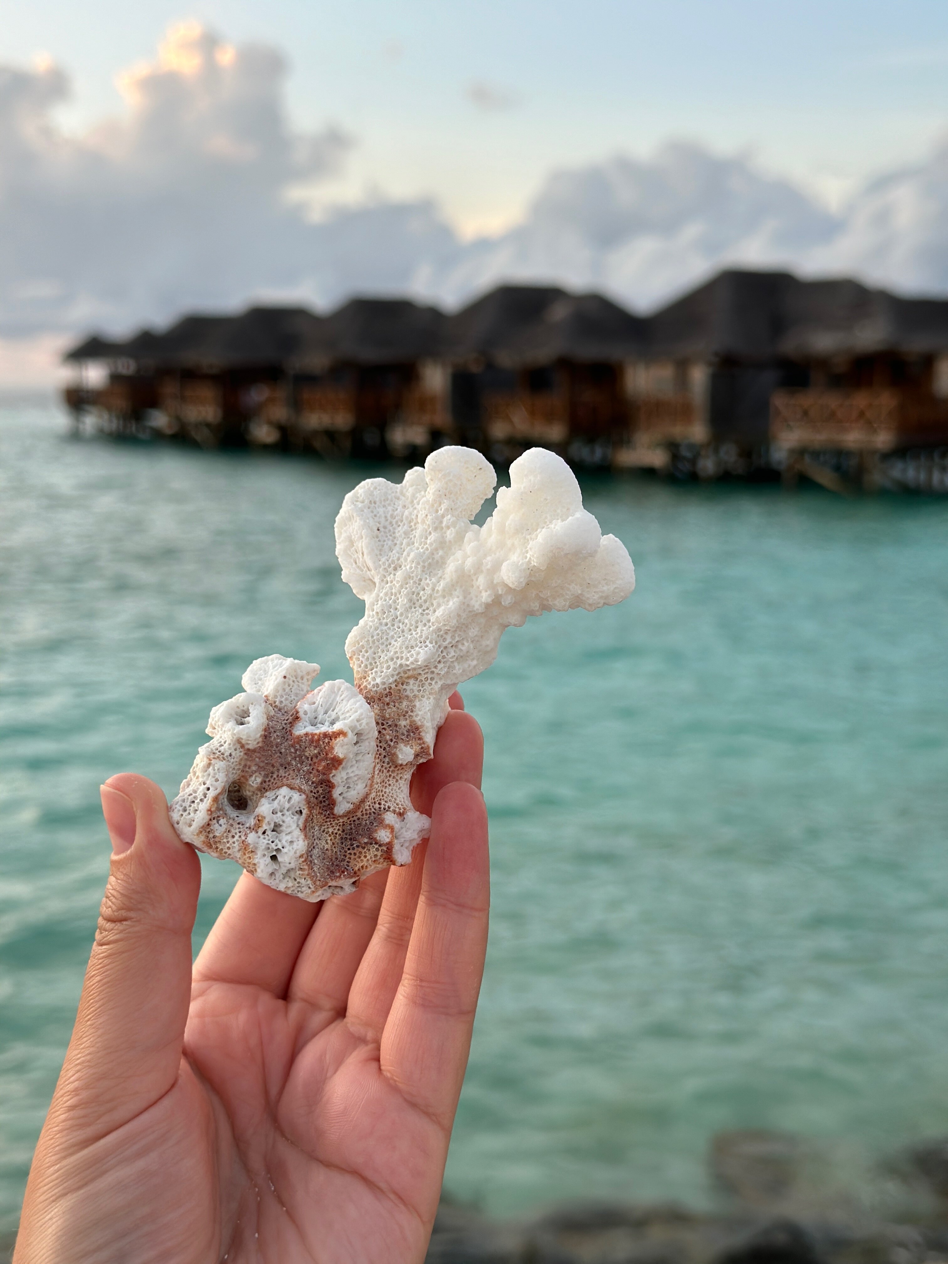 Фото Fihalhohi Maldives