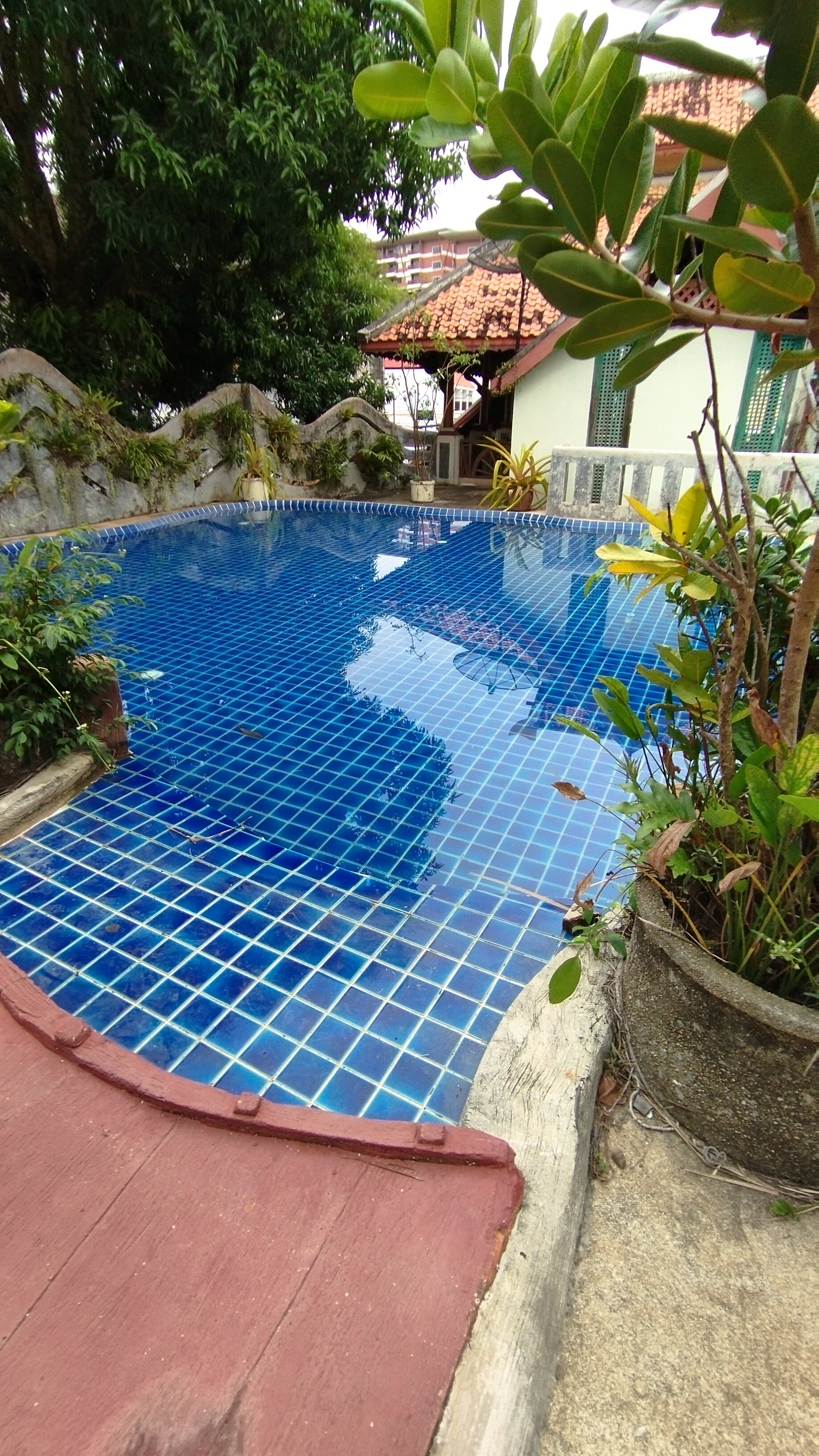 Фото Kata Garden Resort