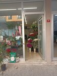 Maltepe Kelebek Çiçekçilik (İstanbul, Maltepe, Bağlarbaşı Mah., Yeni Çk. Sok., 3) ، محل زهور