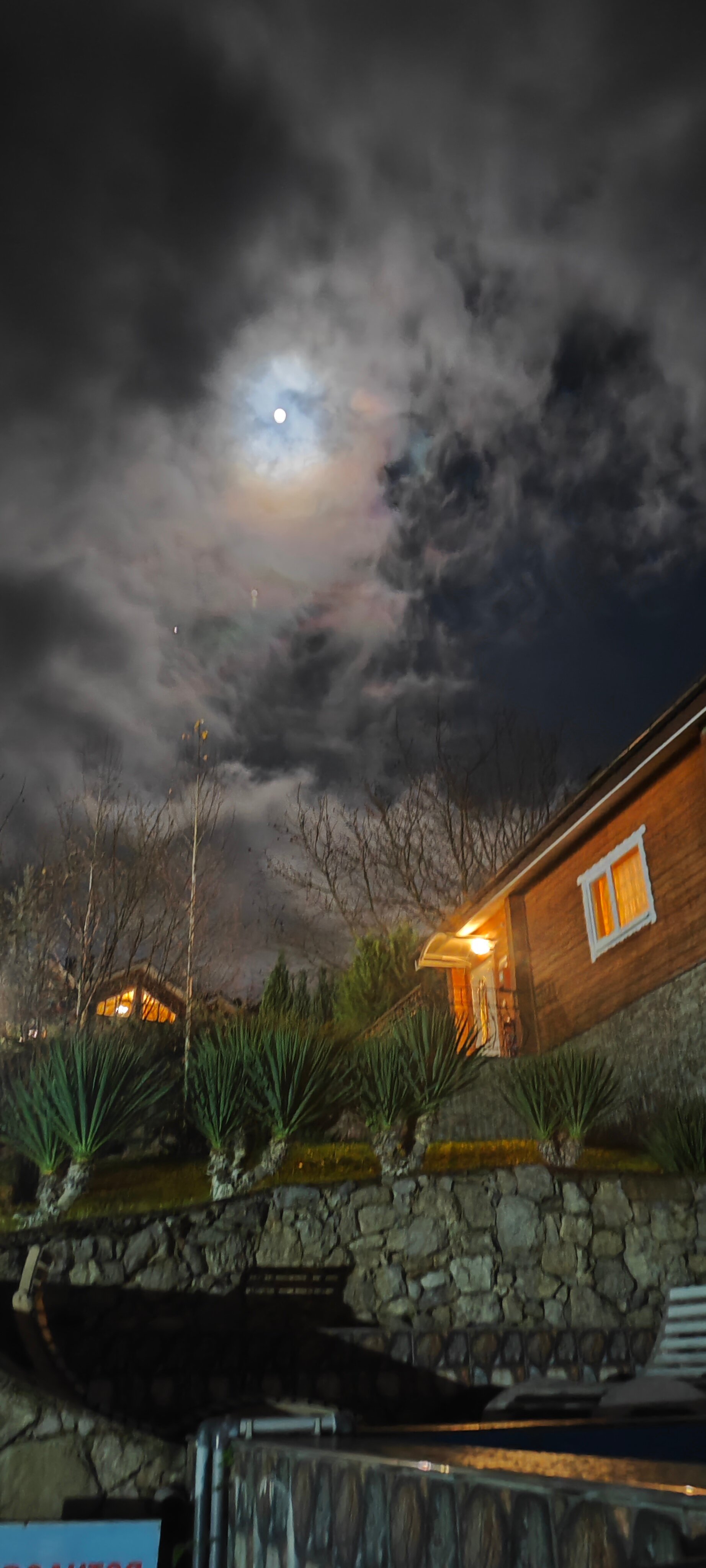 Фото Пальмира