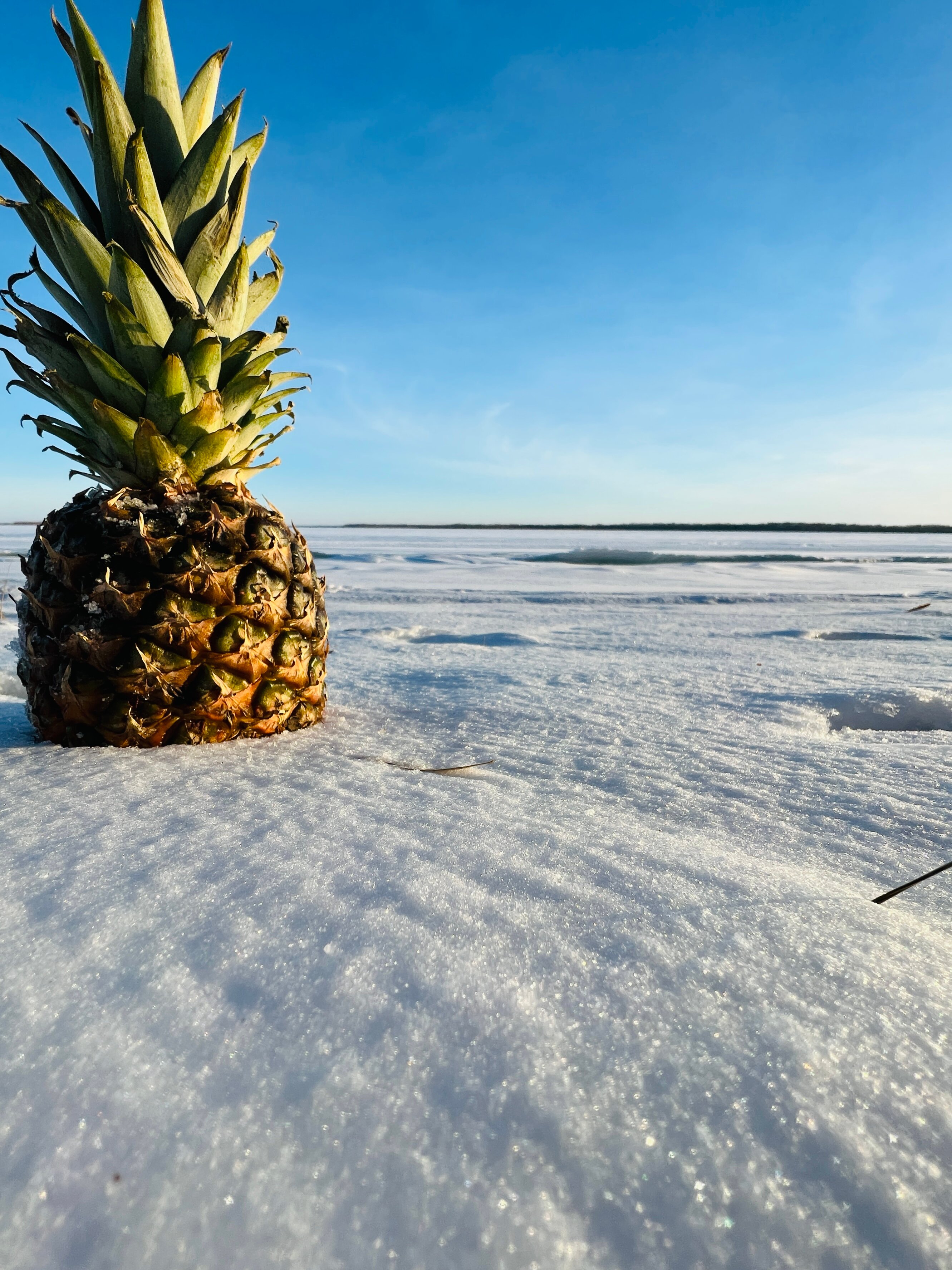 Фото Море Волги