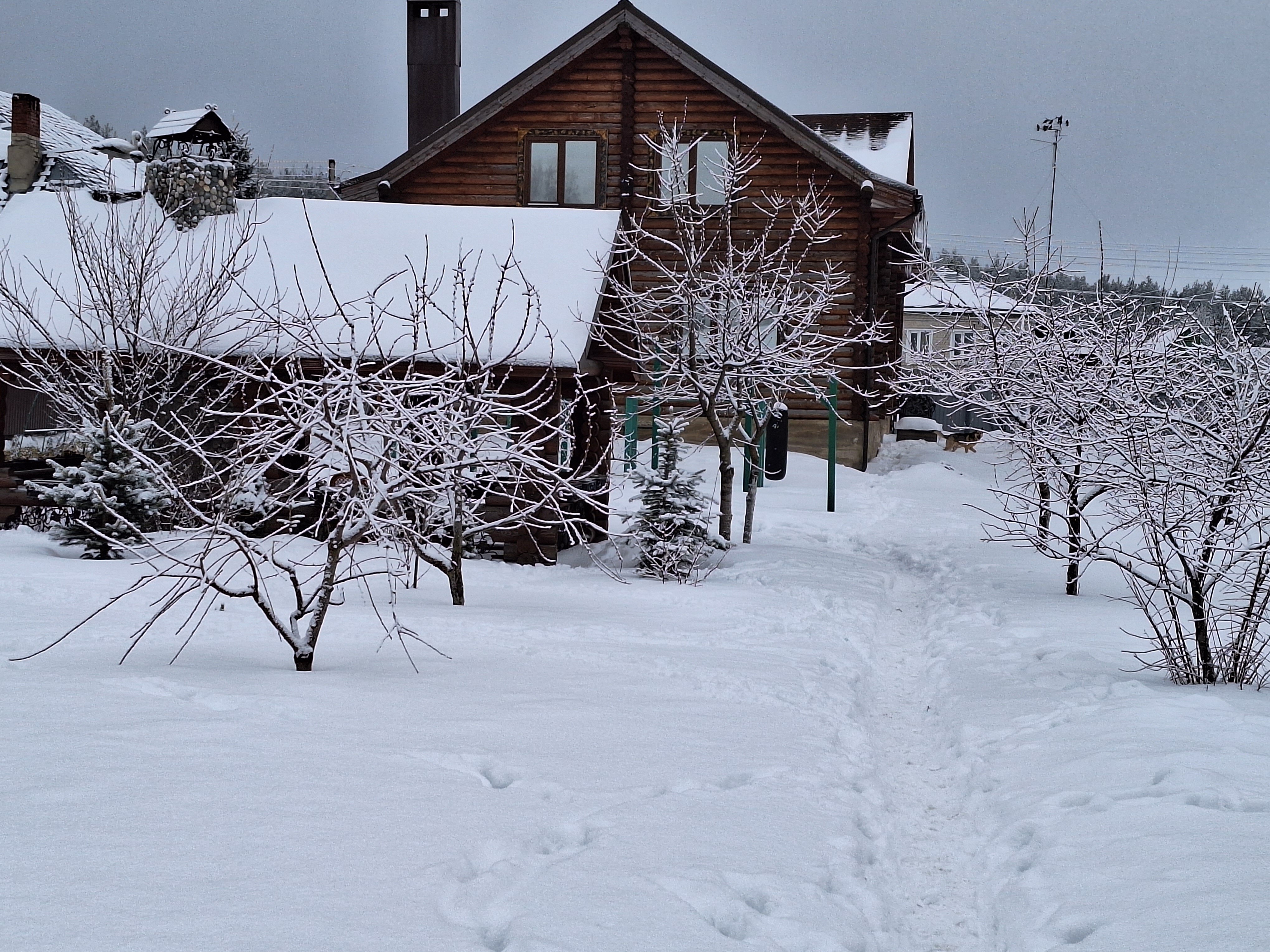 Фото Ноев Ковчег