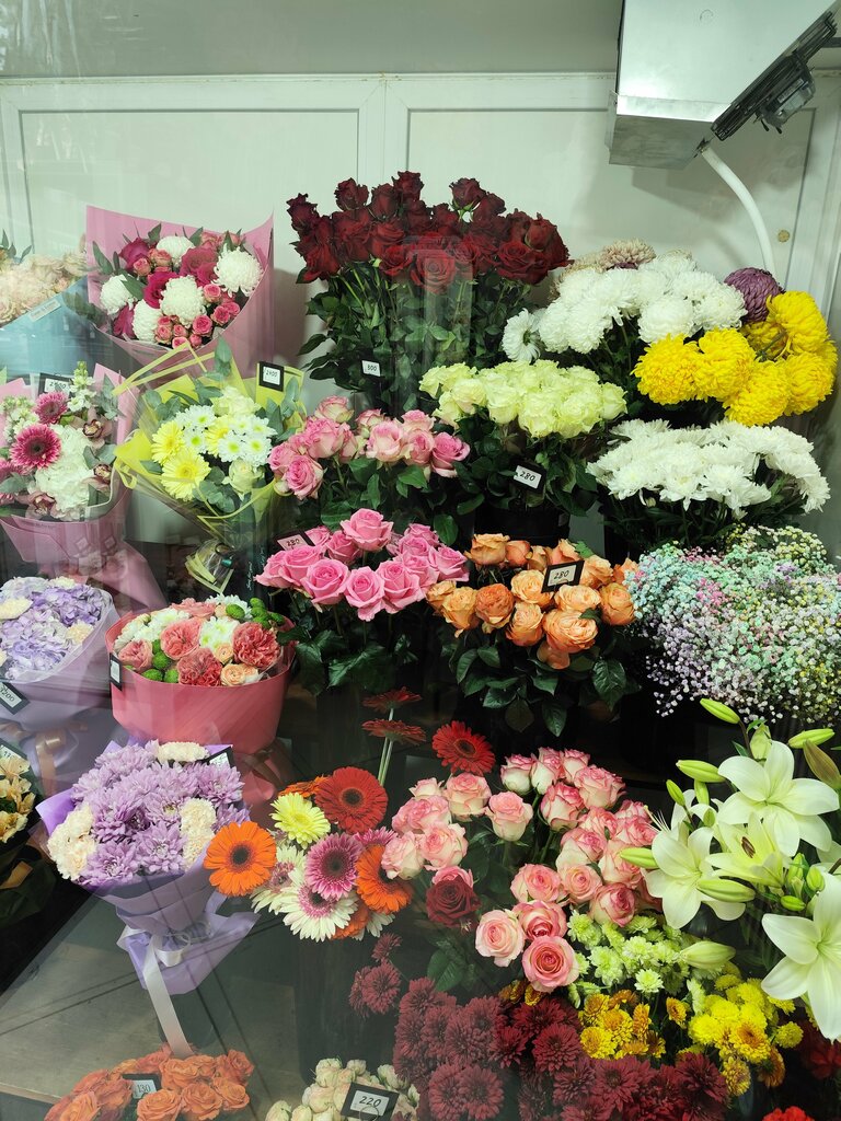 Илья Дубовской