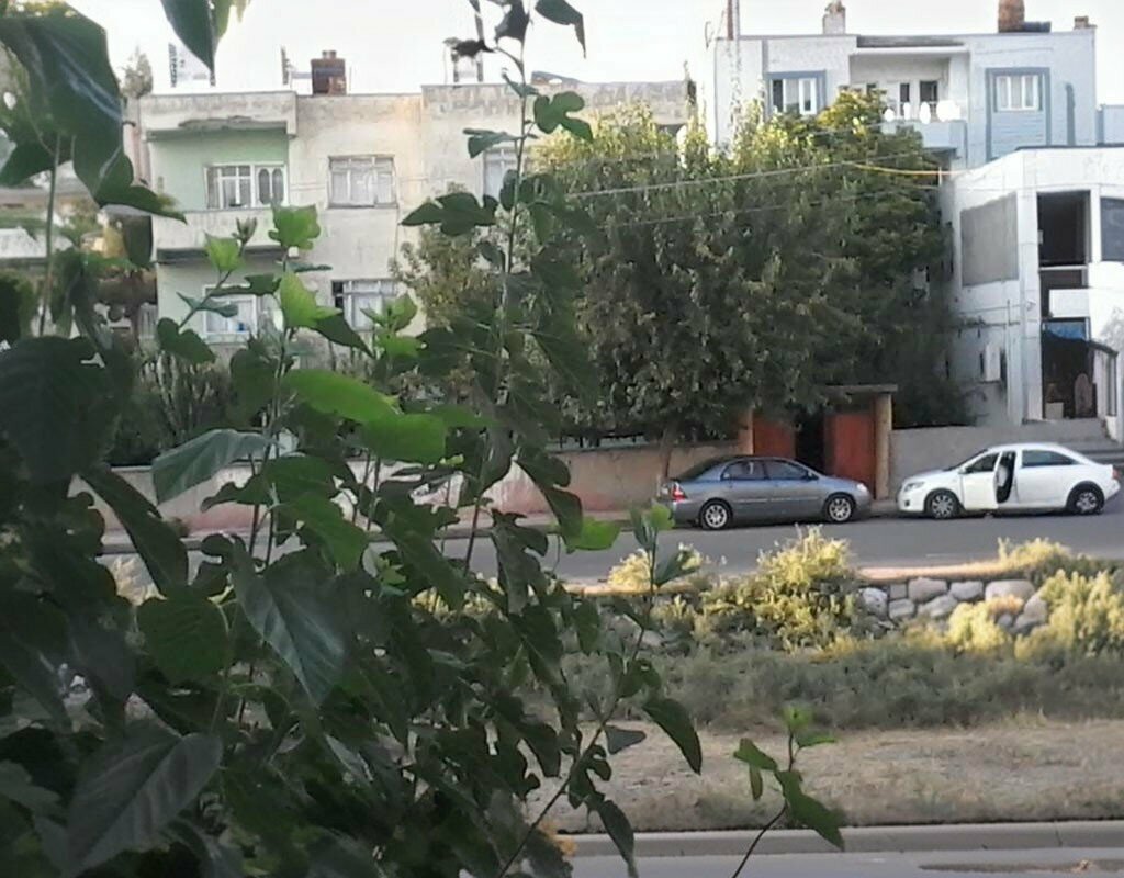 Primary school Zubeyde Hanim Ilkogretim Okulu, Kars, photo