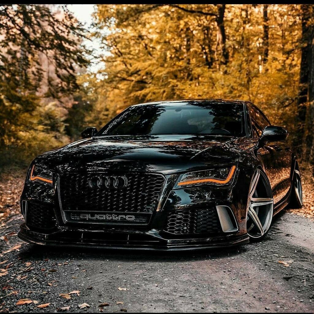 Auto accessories Baskan Audio, Isparta, photo