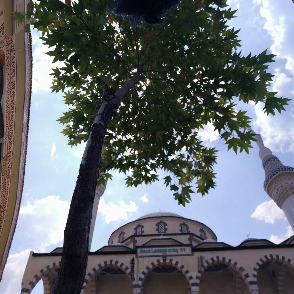 Gas station Türkiye Petrolleri, Adiyaman, photo