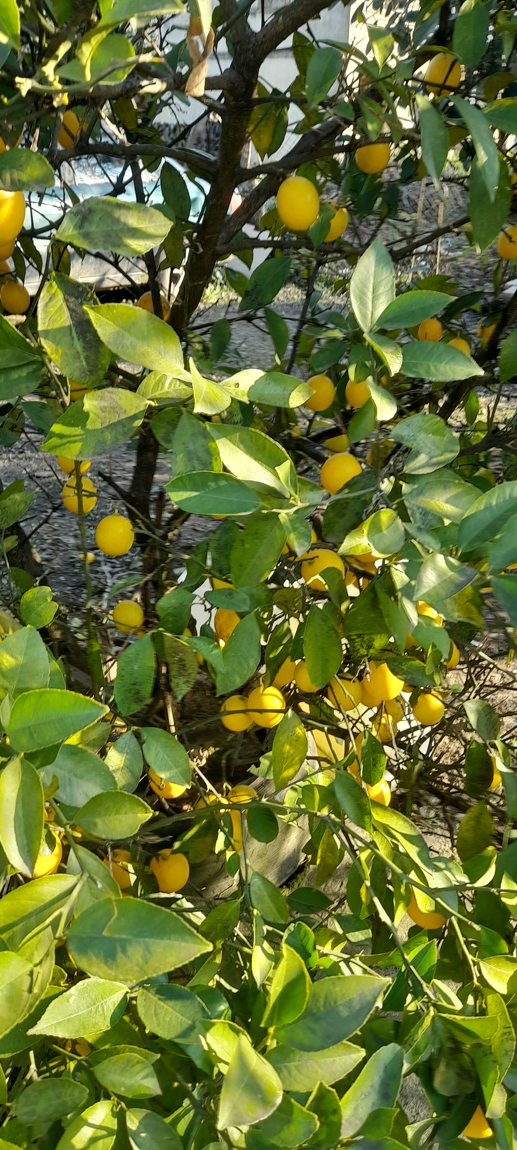 Фото Сказка