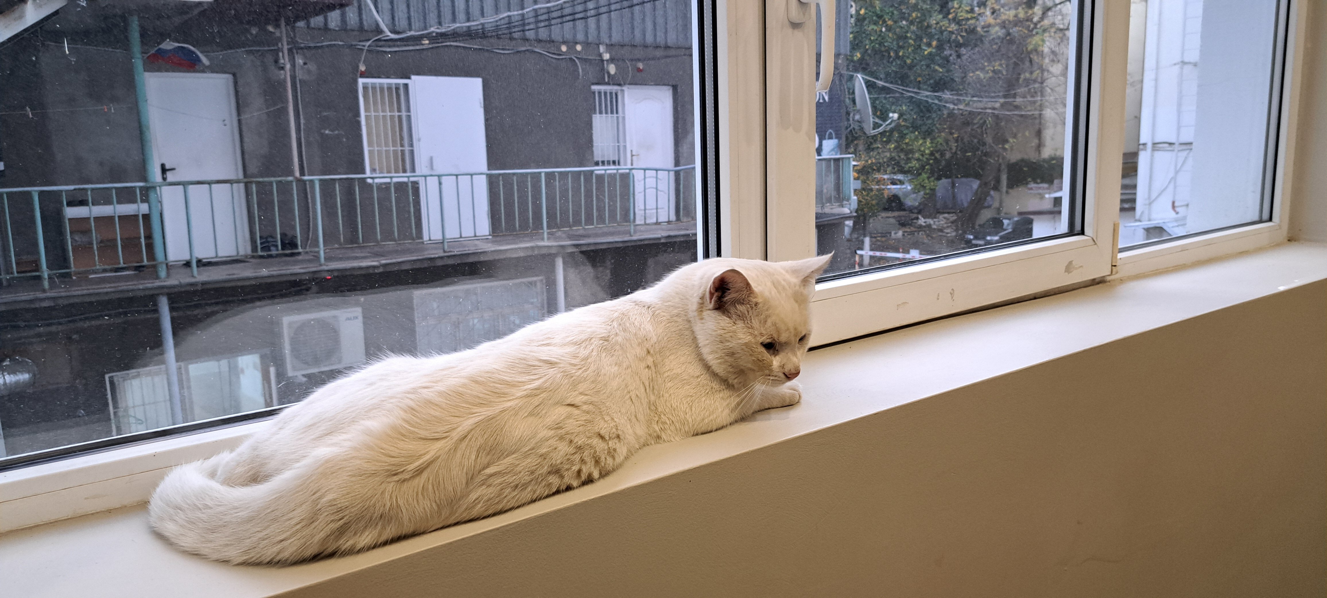 Фото Отель Сочи