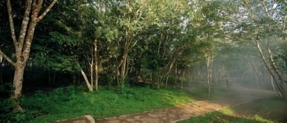 Фото The Windflower Jungle Resorts and SPA