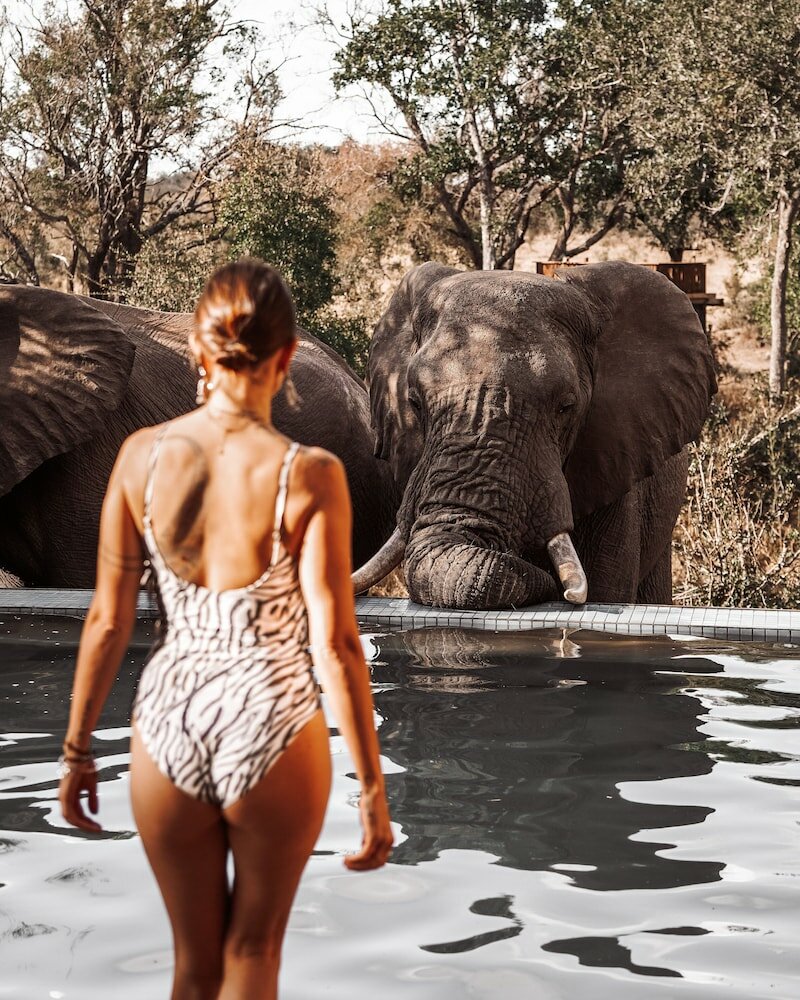 Фото 158997887249