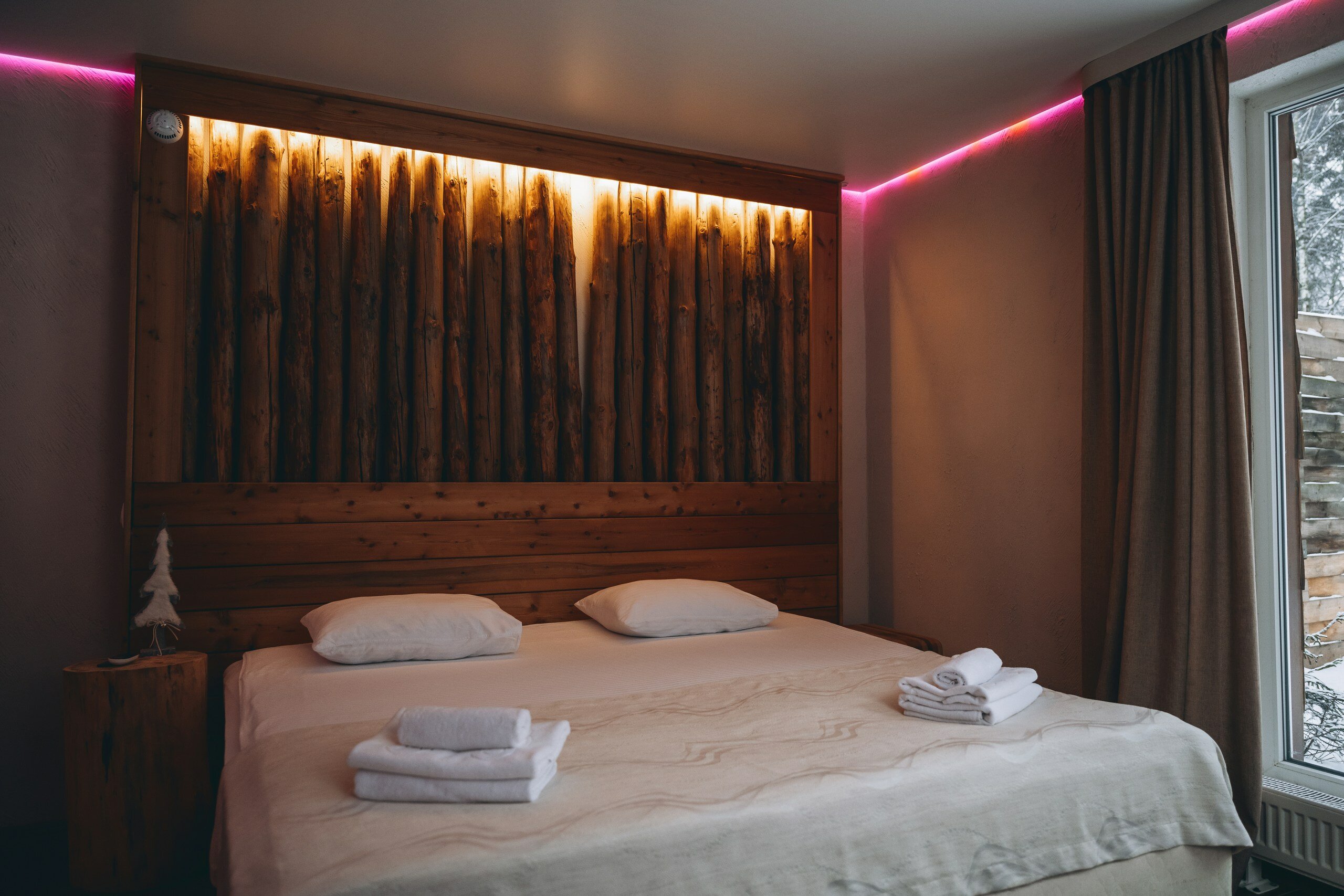 Фото Гуси-Лебеди