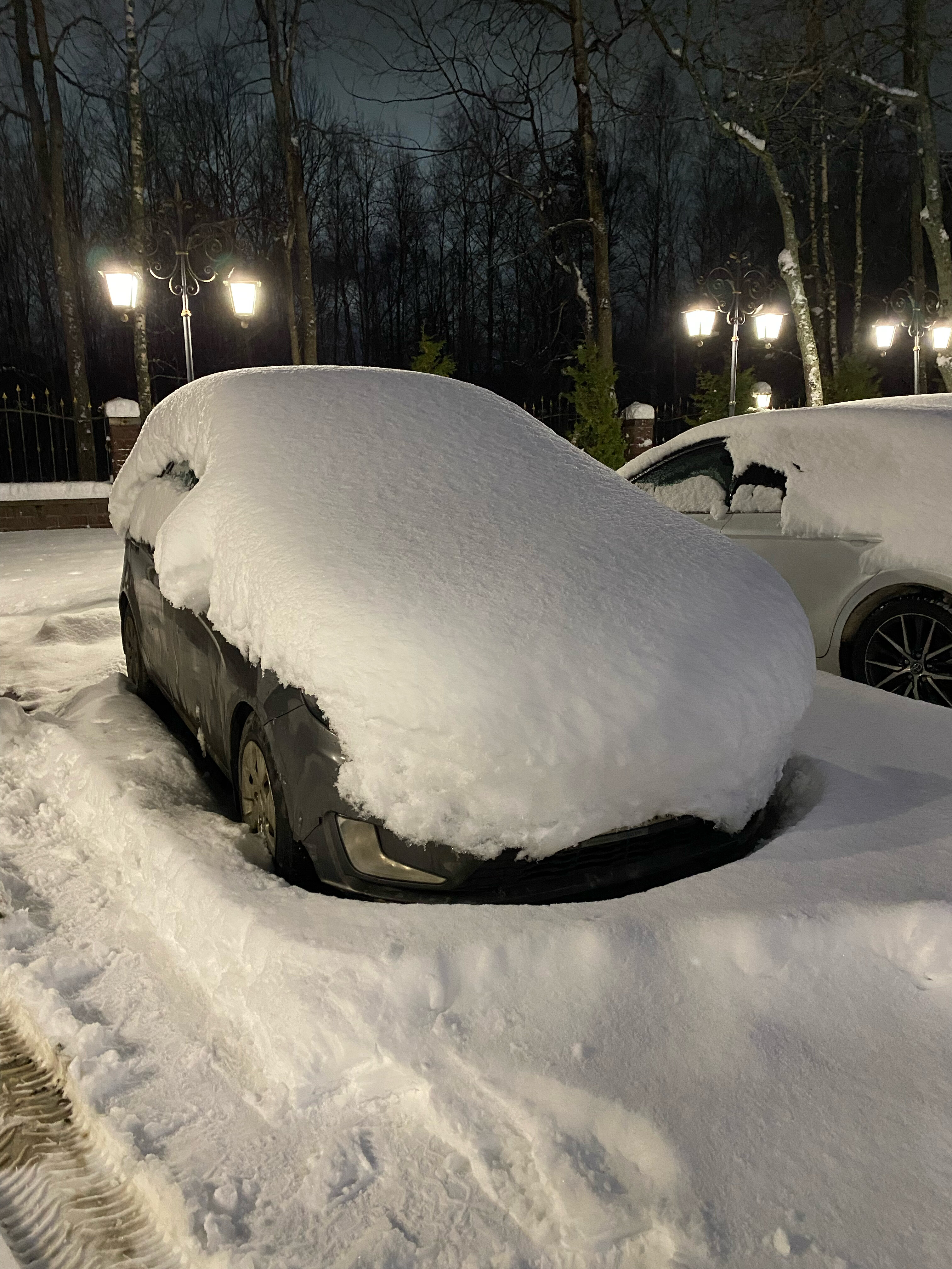 Фото Островия