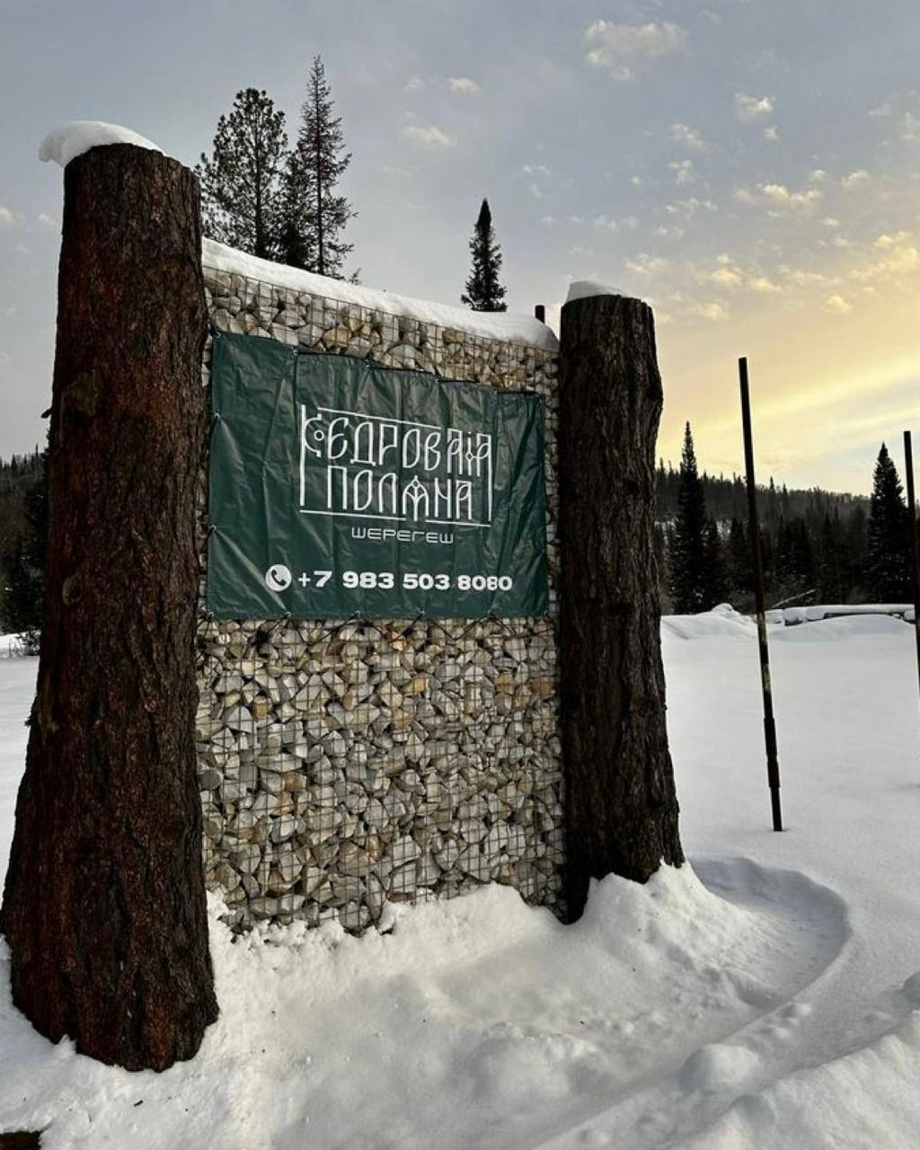 Фото Кедровая поляна